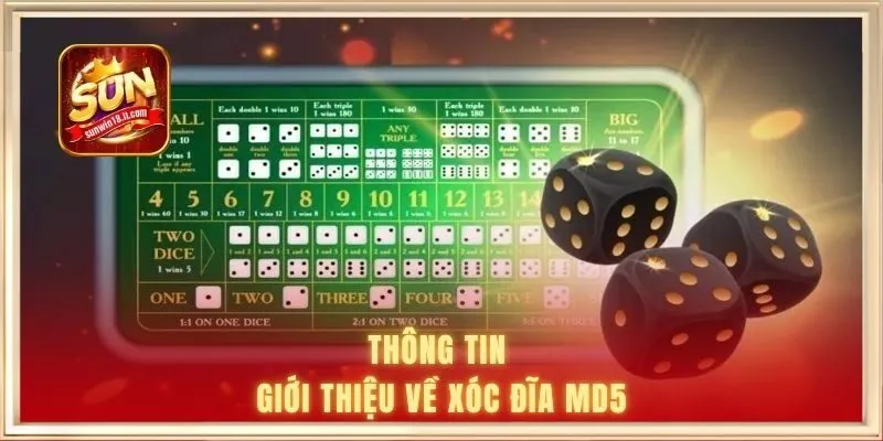Thông tin giới thiệu về xóc đĩa MD5